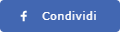 Condividi su Facebook
